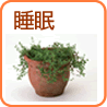 睡眠