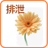 排泄